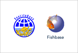 GraphicFishbase