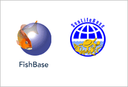 GraphicFishbase1